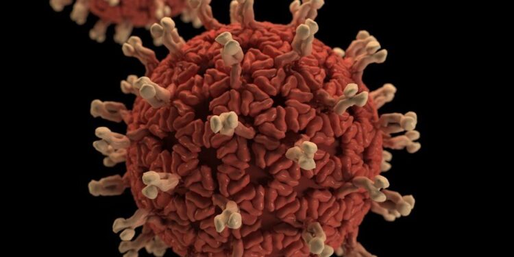 Le virus Ebola se rapproche de la Centrafrique