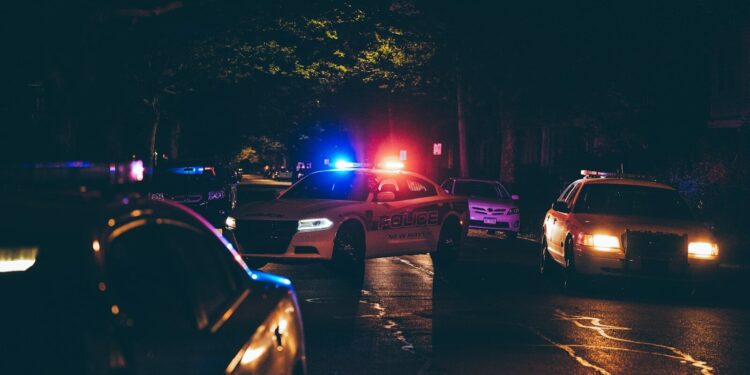 Une mère de famille assassinée, son fils reconnaît les faits