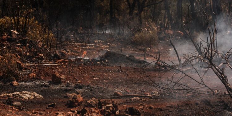 Les Hautes Pyrénées en alerte feux de forêt jeudi et vendredi