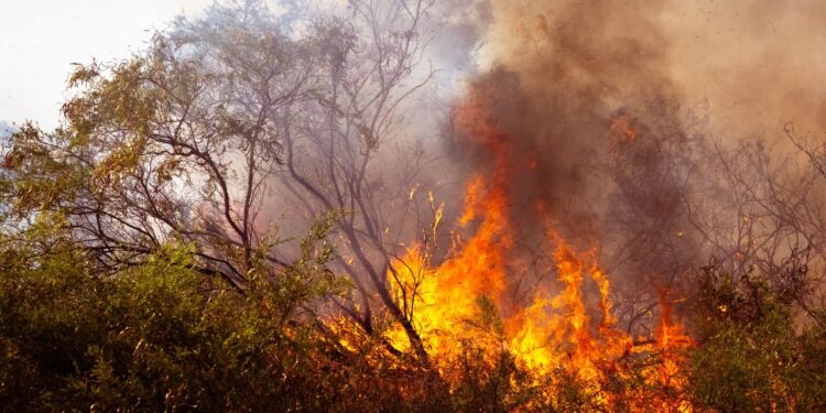 Les Hautes Pyrénées en alerte feux de forêts