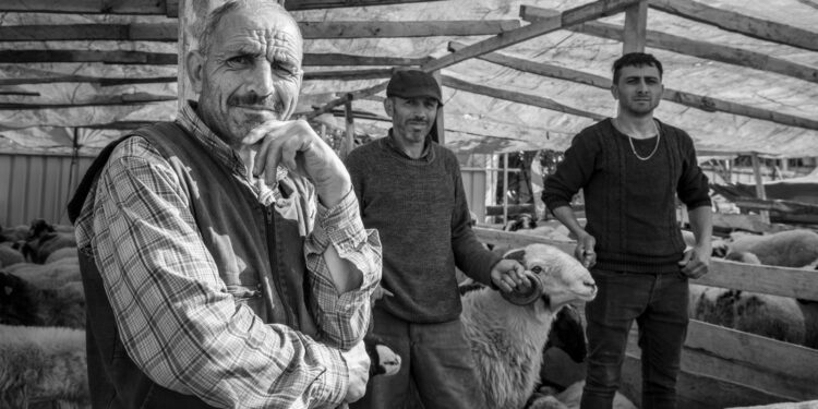 Soutien à l'agriculture : "effort de chaque ministère"