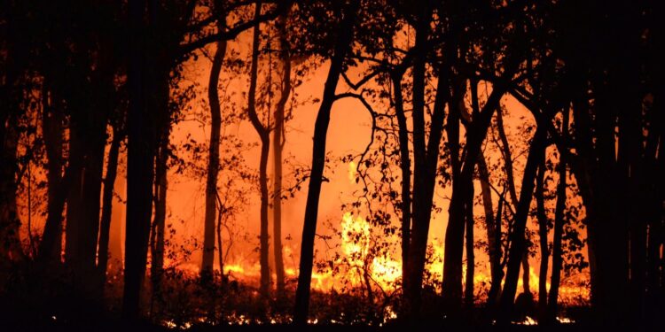 L'incendie de forêt dans l'Aude n'est pas fixé