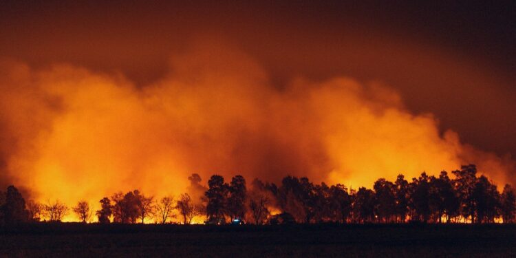 A l'exception des Hautes Pyrénées, toute l'Occitanie en alerte incendie