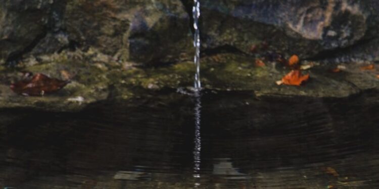Il se ravitaille en eau en voiture depuis que sa source est à sec