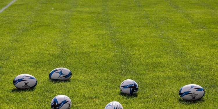 Top14 - Pau, Bayonne et Toulouse assurent, Castres et Perpignan dans le dur