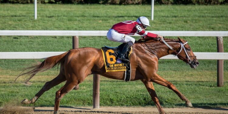 L'hippodrome de Tarbes Laloubère accueillera des courses en 2027