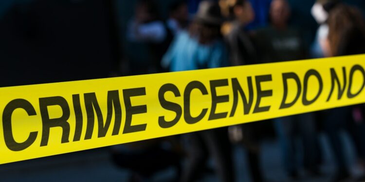 Crime organisé : des réseaux plus lucratifs parfois intégrés à l'économie légale