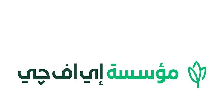مؤسسة إي اف چي