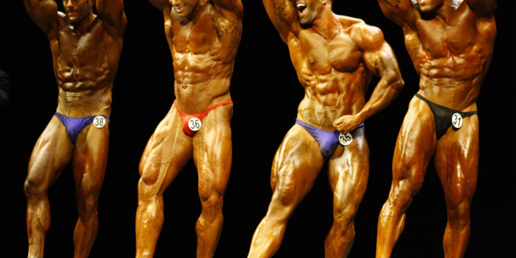 (Image by fvasallo from Pixabay)