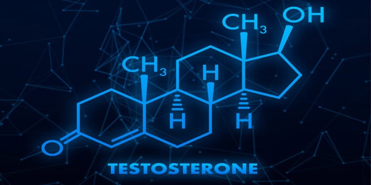 Higher prenatal testosterone exposure is linked to Machiavellianism and psychopathy, study suggests
