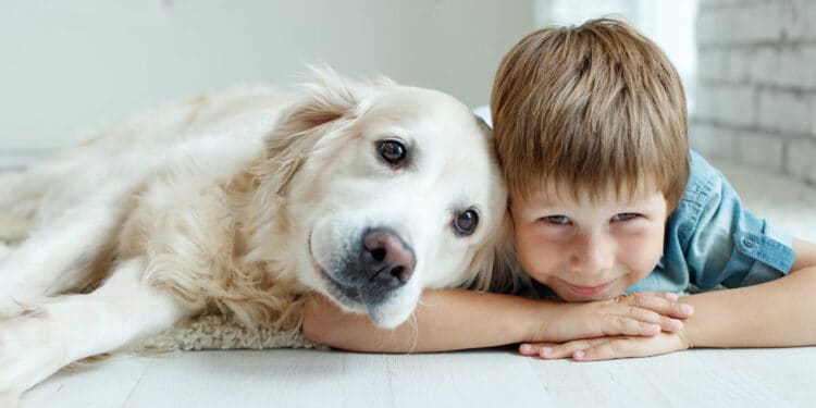 (Photo credit: Adobe Stock)