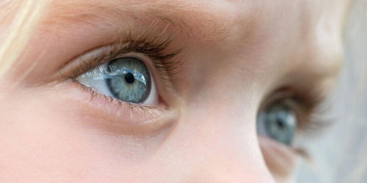 (Photo credit: Adobe Stock)