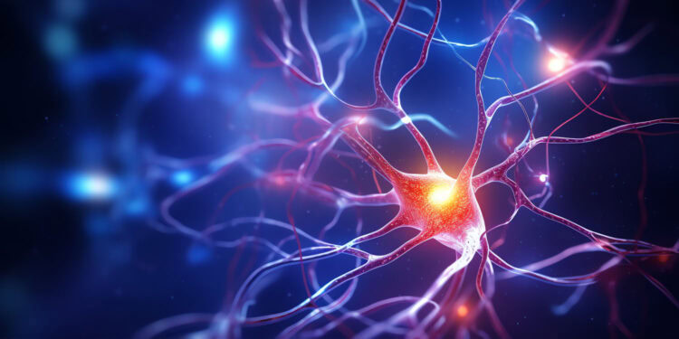 Visual hallucinations in Parkinson’s disease linked to cholinergic deficiency