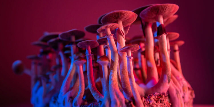 (Photo credit: Adobe Stock)