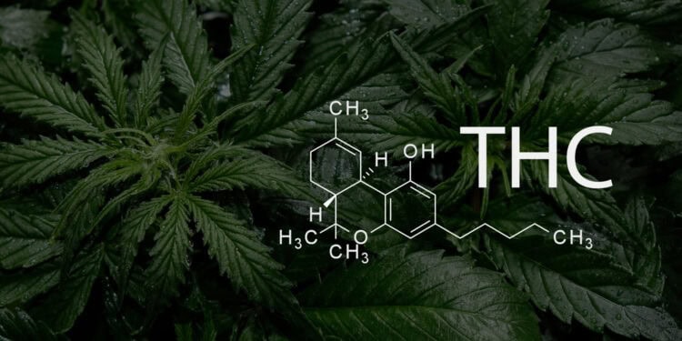 (Photo credit: Adobe Stock)