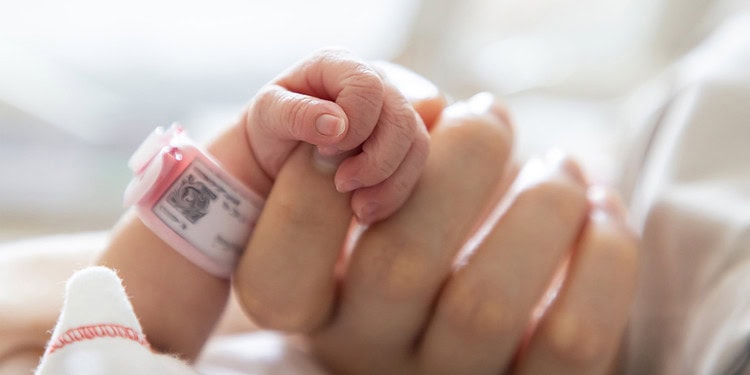 (Photo credit: Adobe Stock)