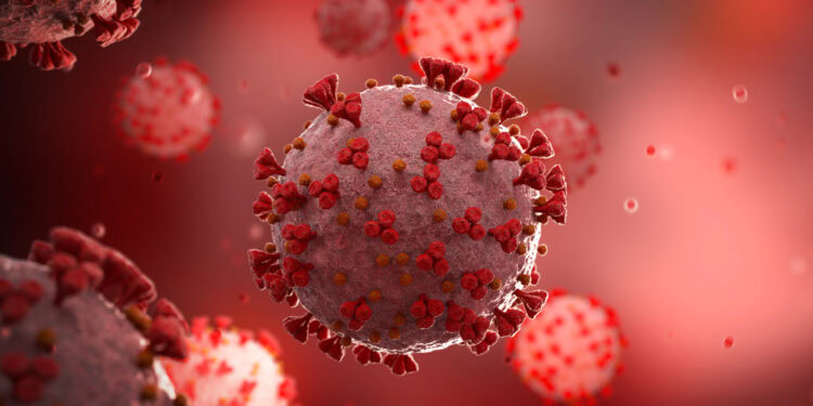 (Photo credit: Adobe Stock)