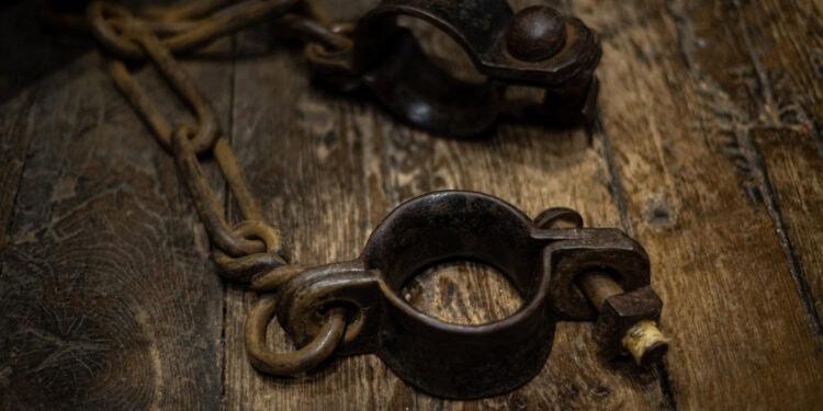 (Photo credit: Adobe Stock)