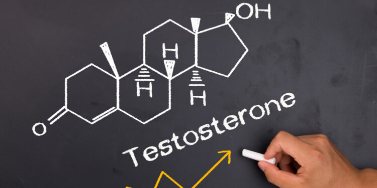 Enhanced testosterone levels, hormonal balance, and their impact on male health and behavior.