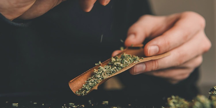 (Photo credit: Adobe Stock)