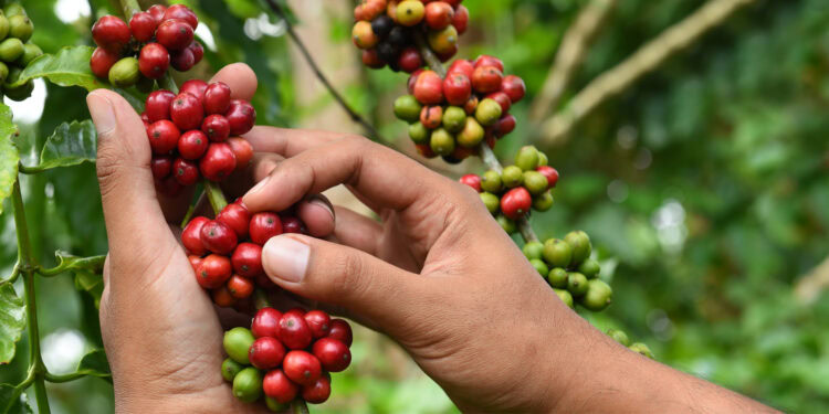 (Photo credit: Adobe Stock)