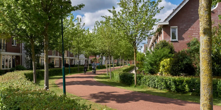 (Photo credit: Adobe Stock)