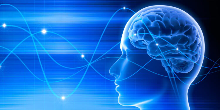 (Photo credit: Adobe Stock)