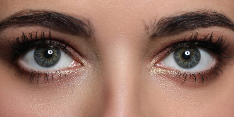 (Photo credit: Adobe Stock)