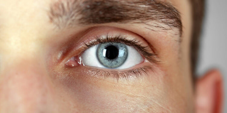 (Photo credit: Adobe Stock)