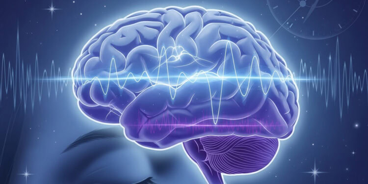 Neuroscientists uncover how sound processing shifts during sleep