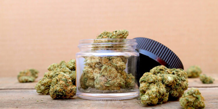 Neuroscientists just rewrote our understanding of psychedelics with a groundbreaking receptor-mapping study