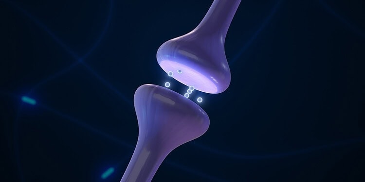 Psychology researchers identify a “burnout to extremism” pipeline