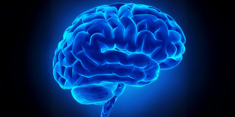 Illuminated blue human brain with neural pathways, representing neuroscience and psychological research in mental health and cognitive function.