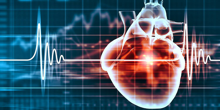 Heart and brain illustration with electrocardiogram waves, representing cardiovascular health and neurological connection, suitable for psychology and medical research articles.