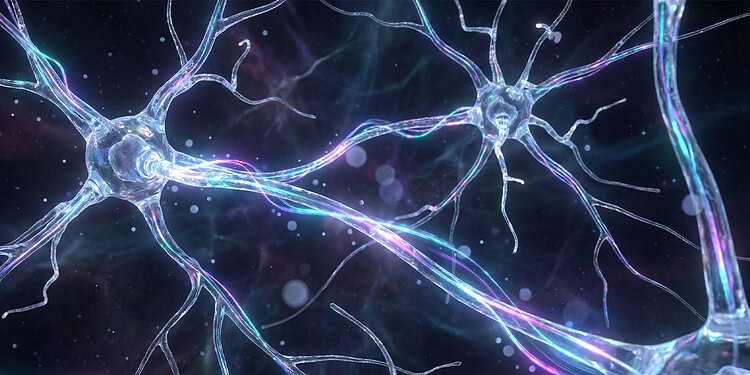 Surprising link found between hyperthyroidism and dark personality traits