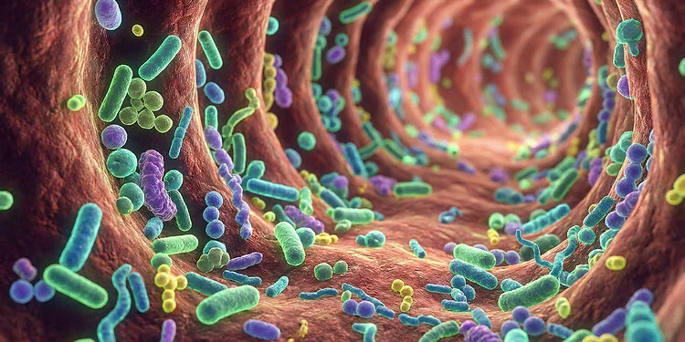 One specific reason for having sex is associated with higher stress levels the next day