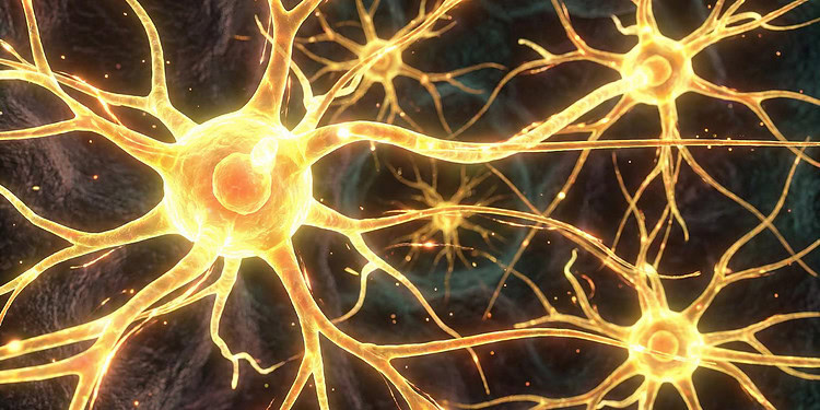 Hippocampal neurons shift their activity backward in time to anticipate rewards