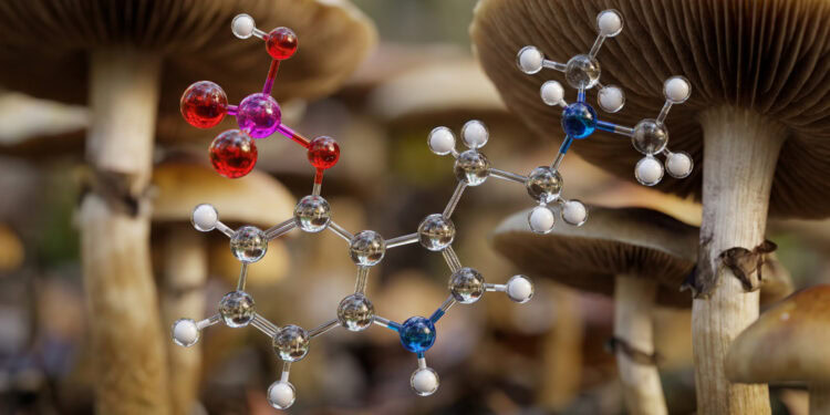 Cannabis use associated with better decision-making skills in people with bipolar disorder