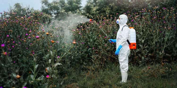 Glyphosate: A common weedkiller may induce anxiety by disrupting gut bacteria