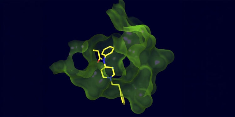 Fentanyl (yellow structure) and the antibody's binding pocket (green structure)—showing how the antibody recognizes the overall shape of the new molecule, rather than one particular scaffold. [Scripps Research]