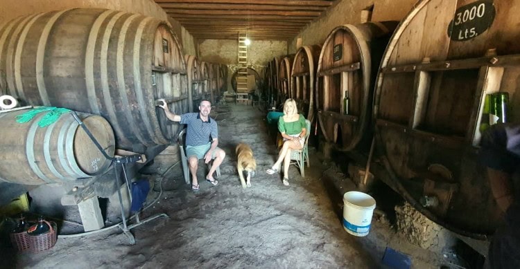 Artisan, old school winery in Colchagua