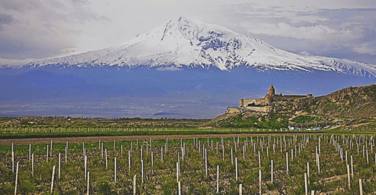 Vineyards in the shadow of the Biblical Mount Ararat on the Armenian / Turkish border.