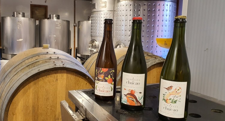 Traditional method cider made in Chile
