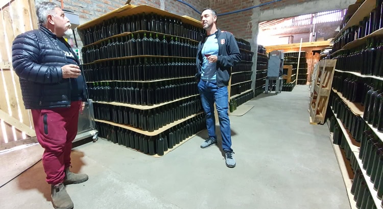 Plenty of Pipeño ready for shipping from Cacique Maravilla