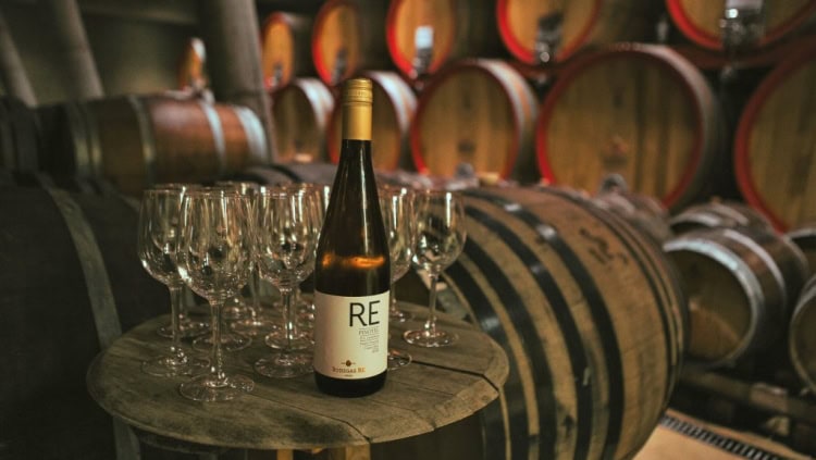 RE winery in Casablanca offers great wine and a superb visit