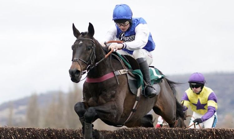 Horse Racing tips today: Horses you MUST back Ascot, Lingfield and Taunton | Racing | Sport