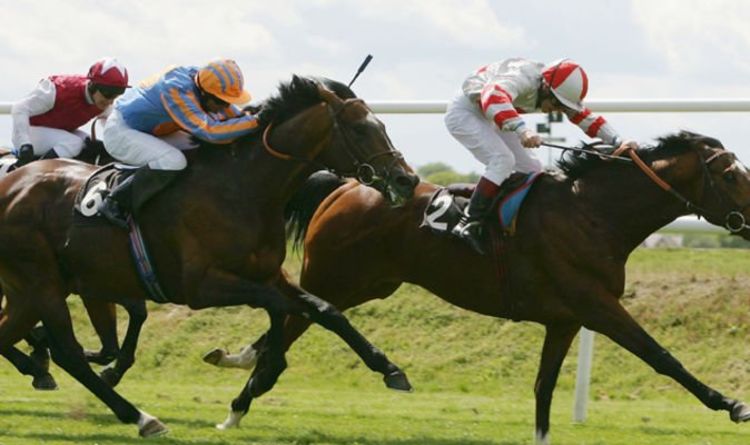 Horse racing tips January 30: Horses you MUST back at Leicester, Plumpton and Lingfield | Racing | Sport