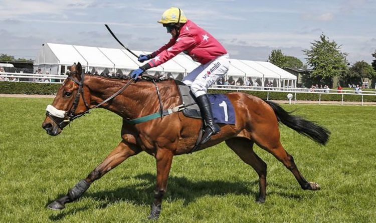 Horse racing tips TODAY: Horses you MUST back at Cheltenham, Lingfield | Racing | Sport