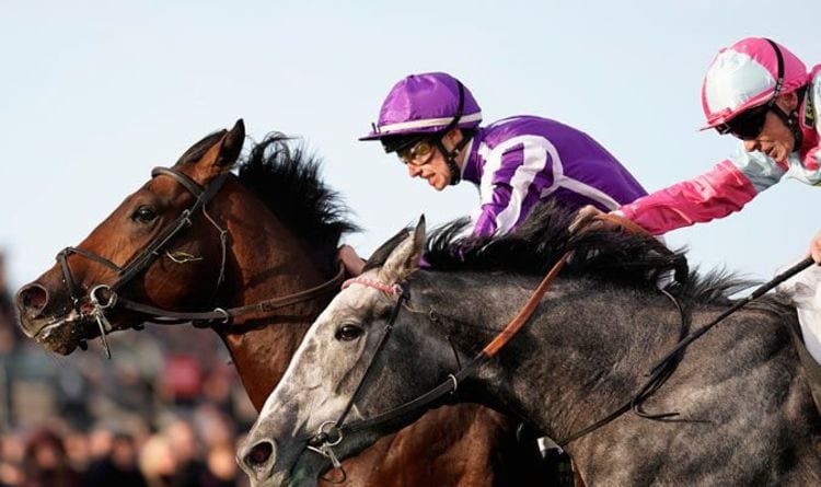 Horse racing tips TODAY: Horses you MUST back at Doncaster, Lingfield and Newcastle | Racing | Sport