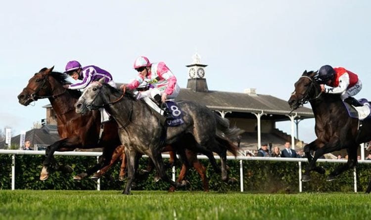 Horse racing tips February 7: Horses you MUST back at Chelmsford, Doncaster, Ffos Las | Racing | Sport
